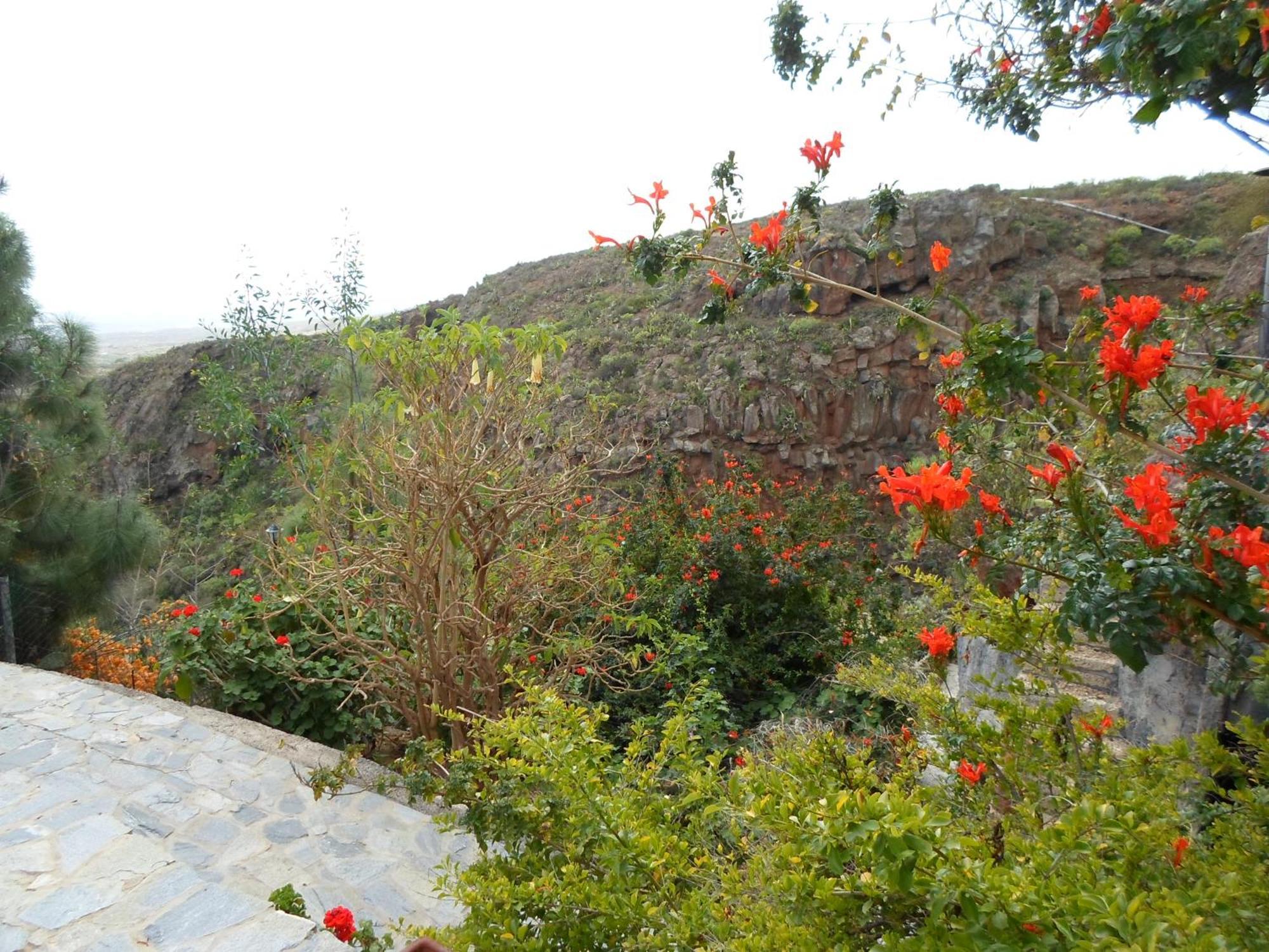 Finca Las Polinarias Casa Cueva En Fasnia Santa Cruz de Tenerife Exterior foto